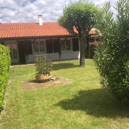 Agreable Maison A 400M Du Lac Sanguinet Exterior foto